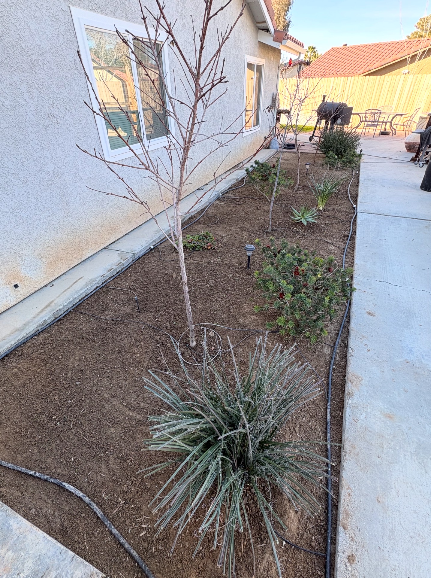 Side yard planting and landscaping bed in Ridgecrest by WeMow760